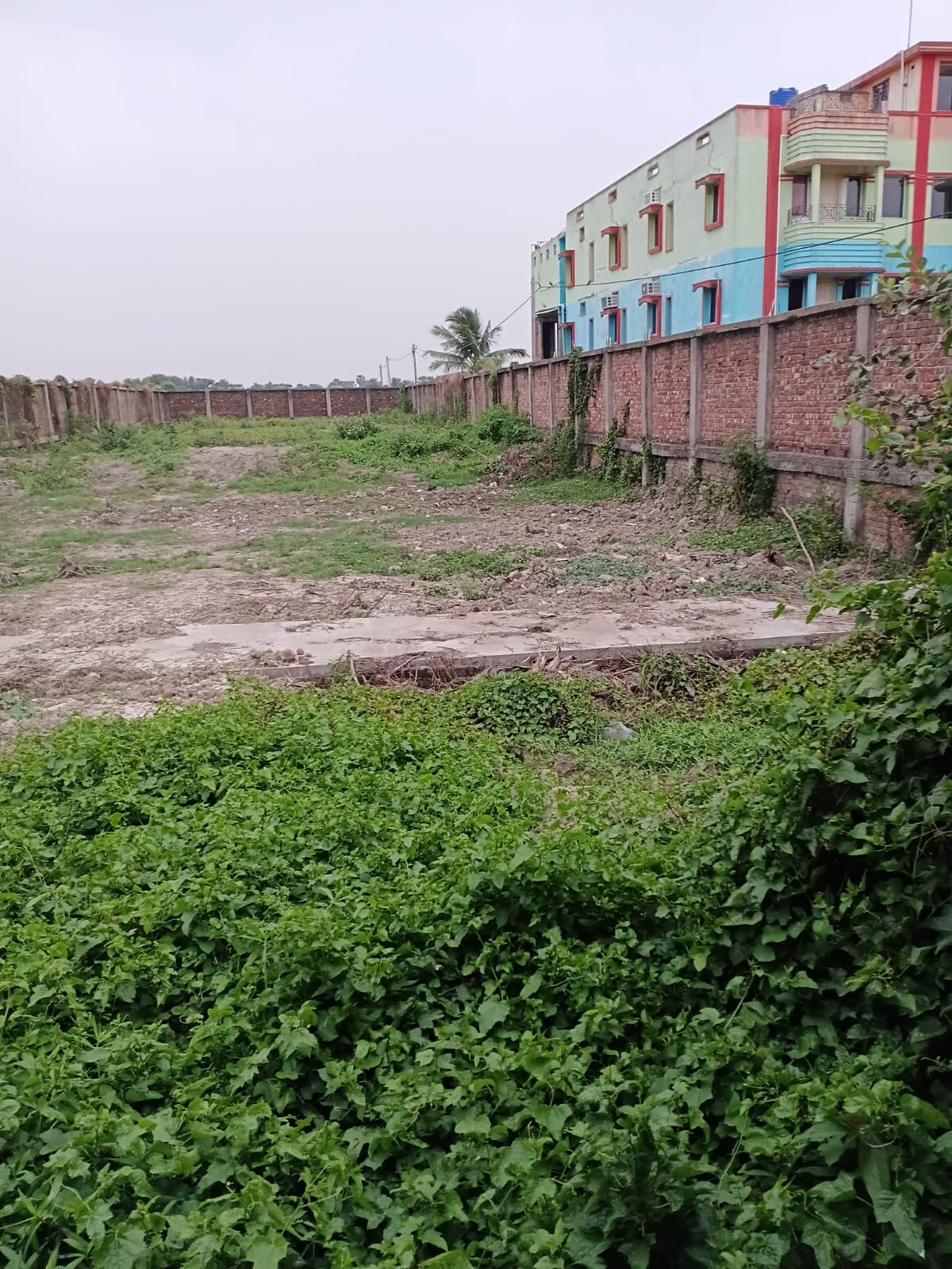 20 Katha Commercial Land for Sale in Bakkhali – Near Hotel Ananya